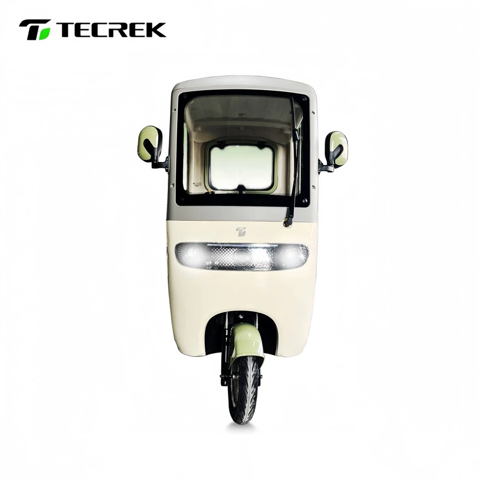 Electric Passenger Tricycle Supplier high quality